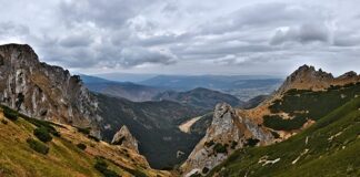 Ile kosztuje Odbitka ze starego zdjęcia?