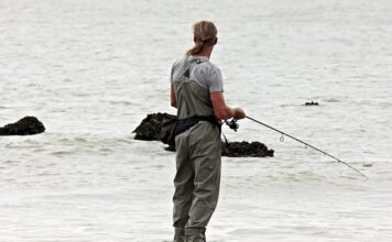 Jak działa zawias Wolnoopadający?